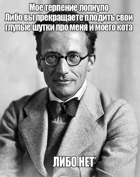 Шрёдингер негодует